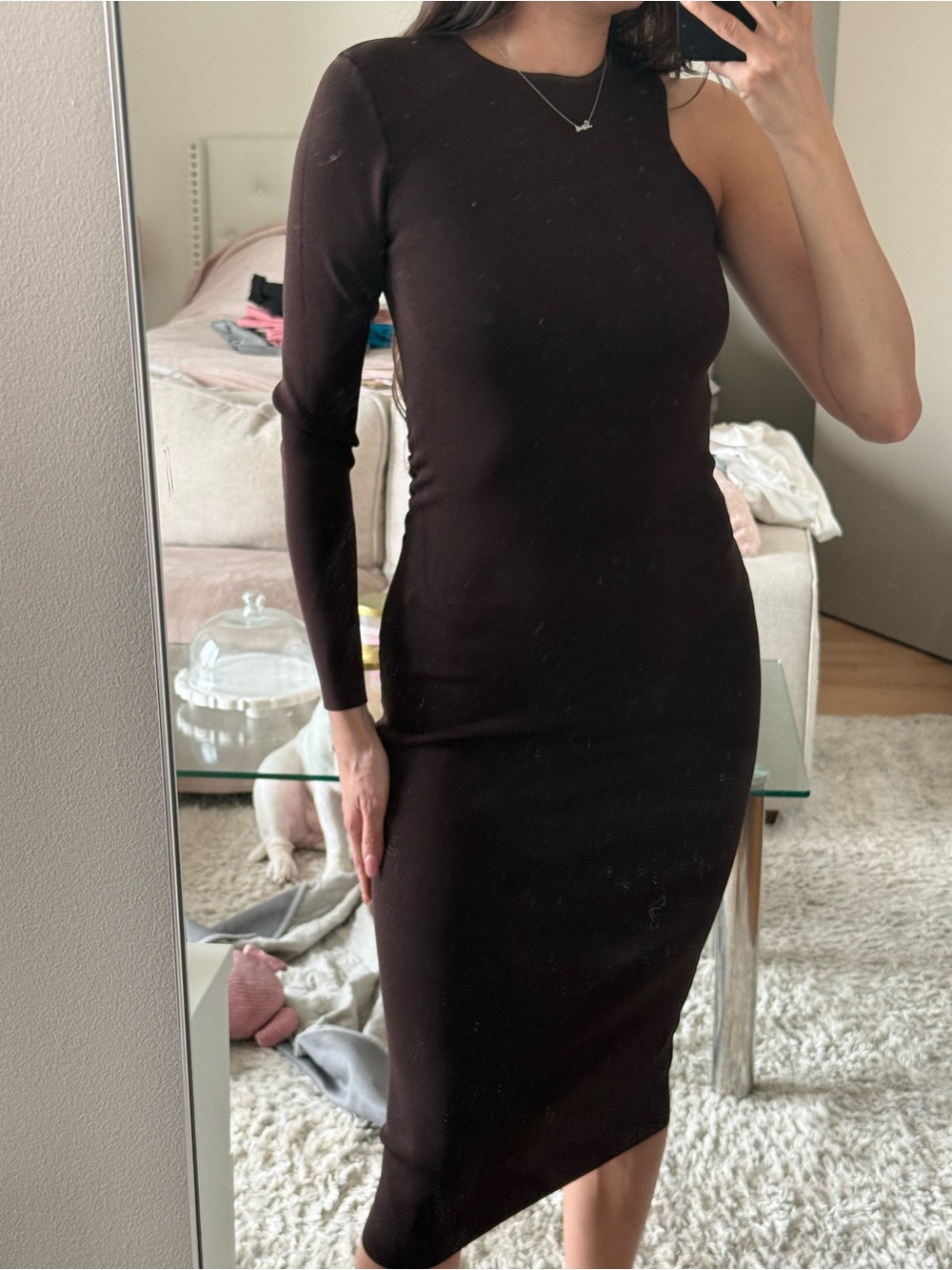 Zara One-Shoulder Long Sleeve Bodycon Dress - Dark Brown